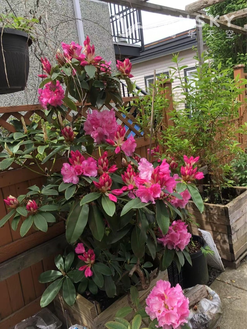 250619164735_Weixin Image_20250517135911.jpg